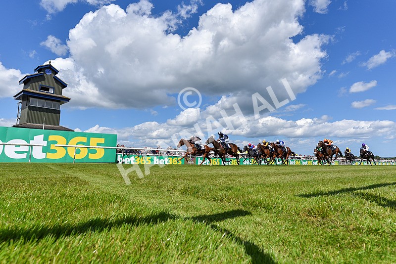 080624-Race 2-Perfect Part-8084 - Race 2