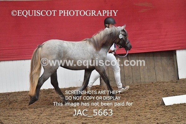 JAC_5663 - 6 Glenmuir Niamh