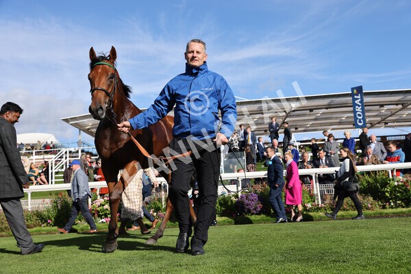 yr08102022r2-59 - Race 2 2.05pm The Coral Rockingham Stakes