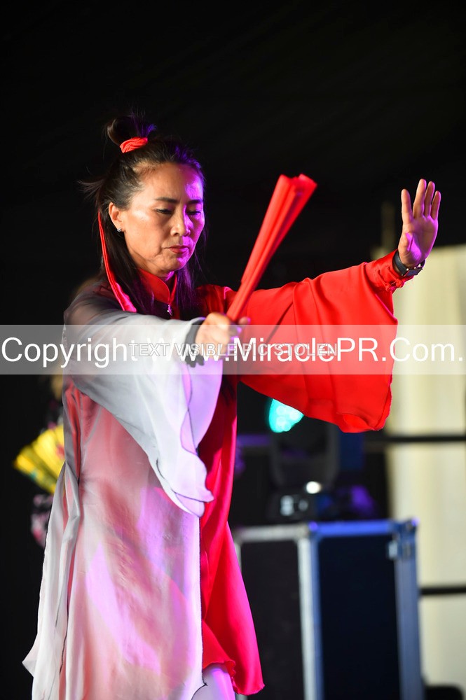 SH4_1687 - Tai Chi with Lisa Kay.
