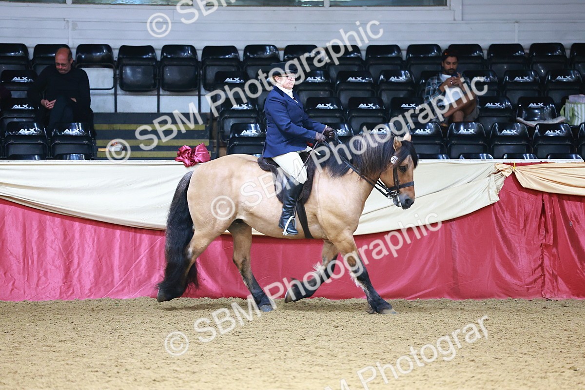 SBM_23779 - Class 905 - Supreme Final - Ridden Veteran