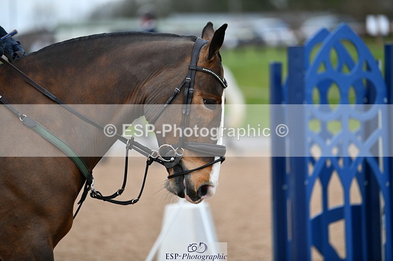 240309A-125037-00893 - Cls 19+20 Club and Schools 80cm