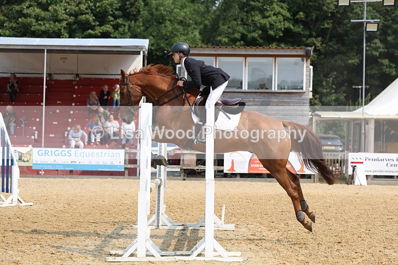 3E7A1245 - Class 4: Senior British Novice/90cm open