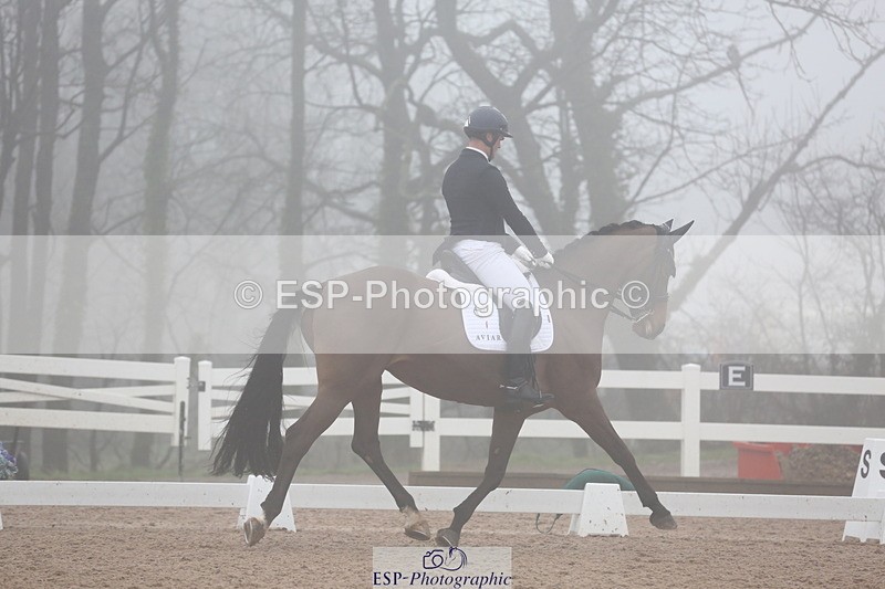 240217A-140115-03985 - 172-Jezz.Palmer-Honey.D'Or