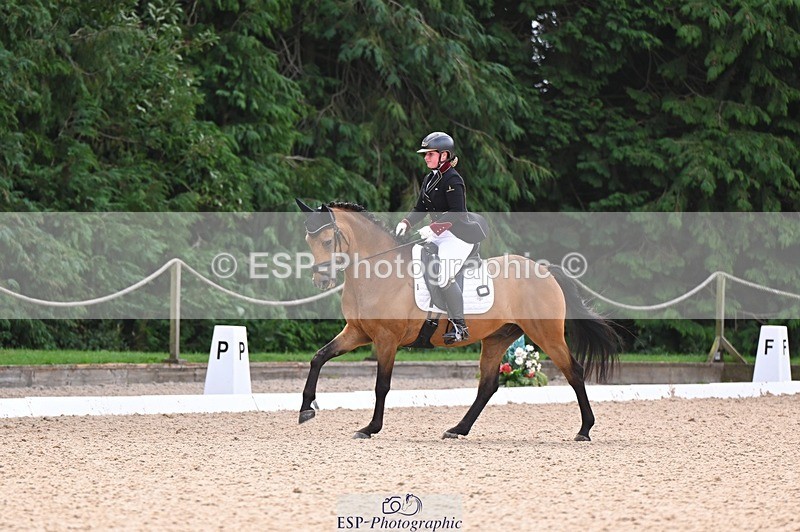 240809-104632-00388 - 173-Daisy.Winkle-Decandro.Hit.LDS