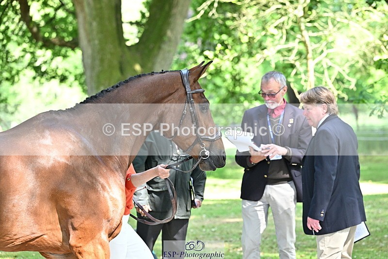 250521A-153613-00628 - B-369-Ali.Wilkes-ROCK.THE.CASPAR