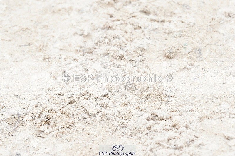 250420A-121328-00712 - Cls 03 80cm