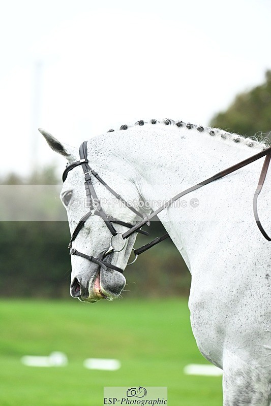 241024-141246-04437 - 414-Jane.Rogers-CORRIEVIEW.OSCAR