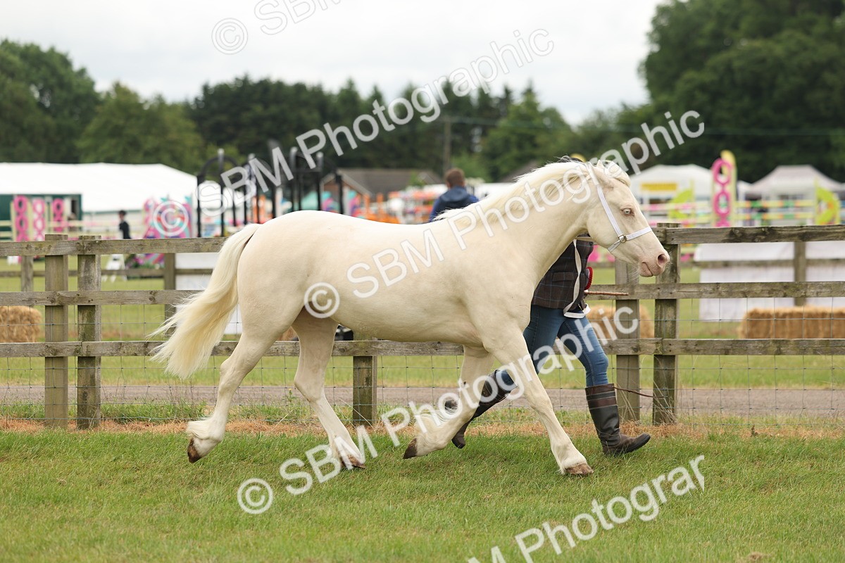 SBM_02426 - Class 50-57 - M&M Welsh Pony In Hand