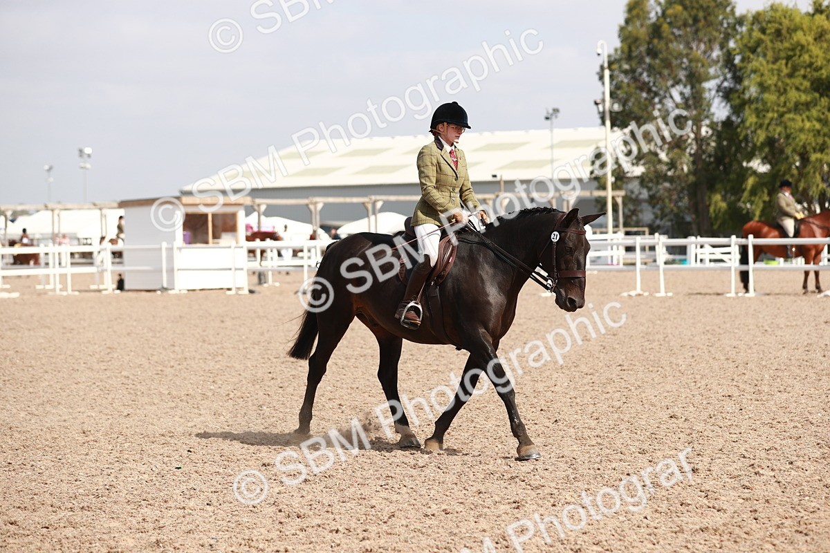 SBM_14899 - Class 212 Ridden Hunter - Small