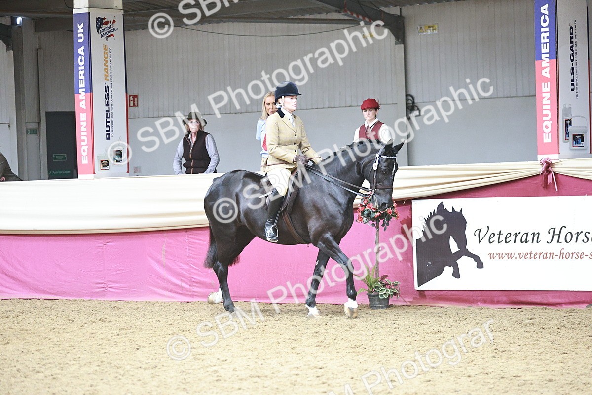 SBM_08790 - Class 12R - Regional Ridden Pre-Vet