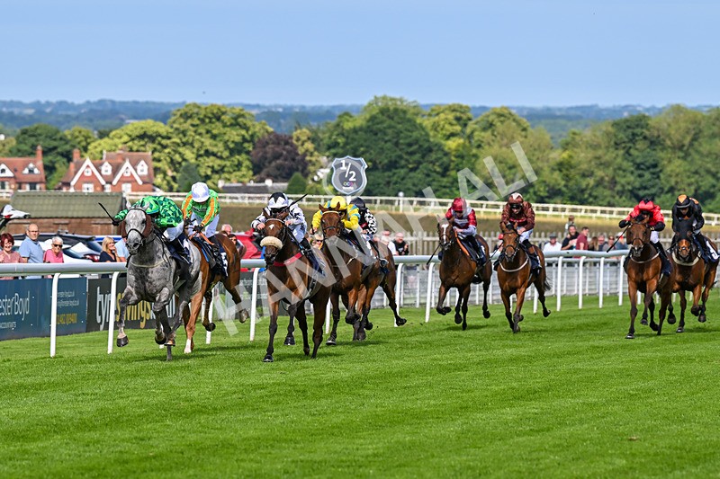 160724-Race 6-Blufferonthebus-9420 - Race 6