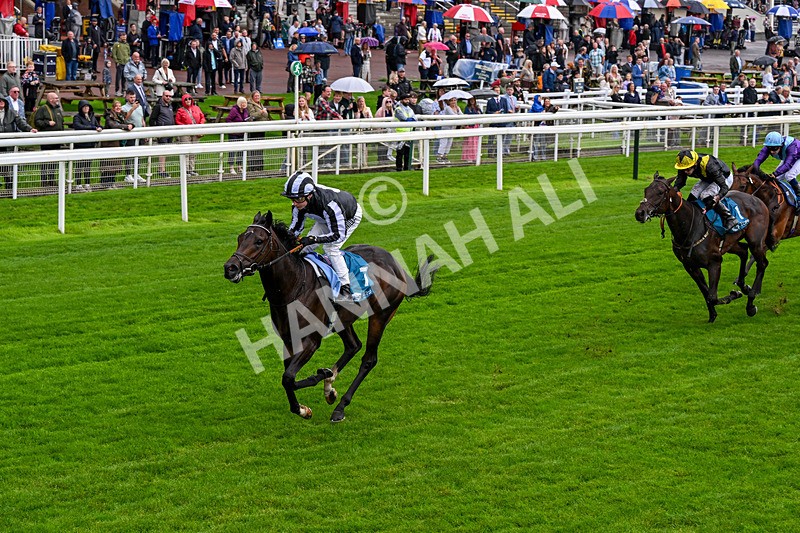 060926-Race 1-Mezzo Forte-0049 - Race 1 1.30pm Irish Thoroughbred Marketing 'Confined' EBF Maiden Stakes