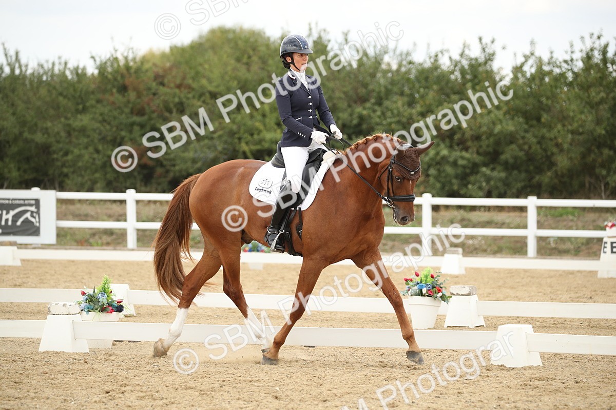 SBM_002150 - Class 6 - Elementary 5 - 13.30-14.34