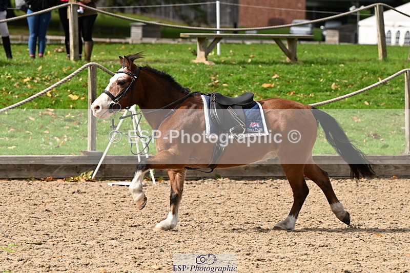 251004A-135318-01369 - Classes 6 & 7 60cm