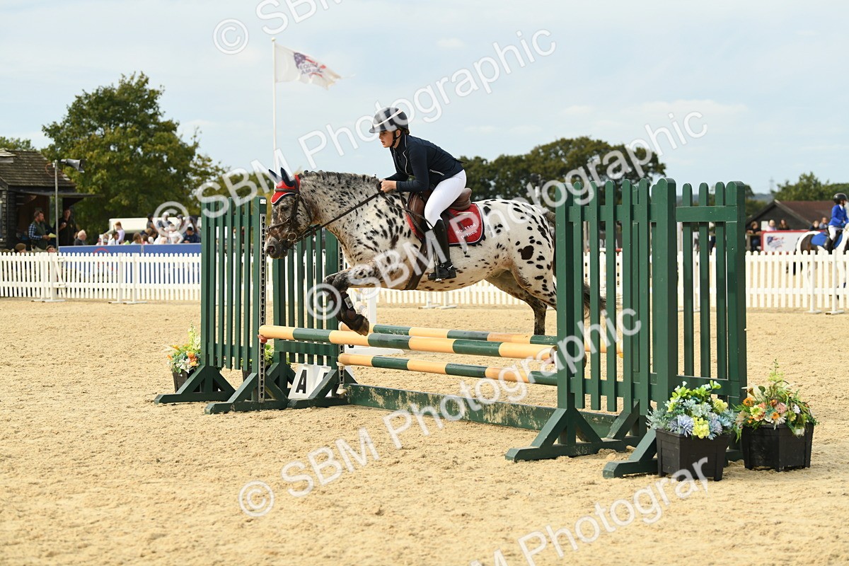 SBM_71087 - J15 - Junior Pony 70cm Championship