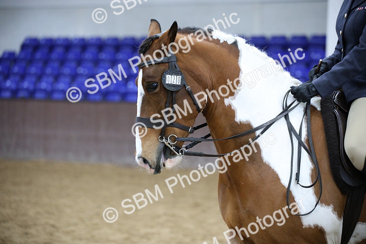 5K7A6109 - Class 48 - Ridden Mare