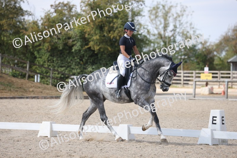 20260815-1016 - Class 5 - Novice 1