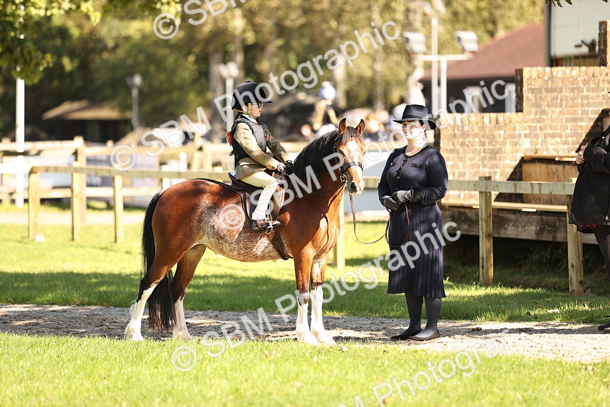 SBM_19213 - S3 - TSR Ridden Pony Showing