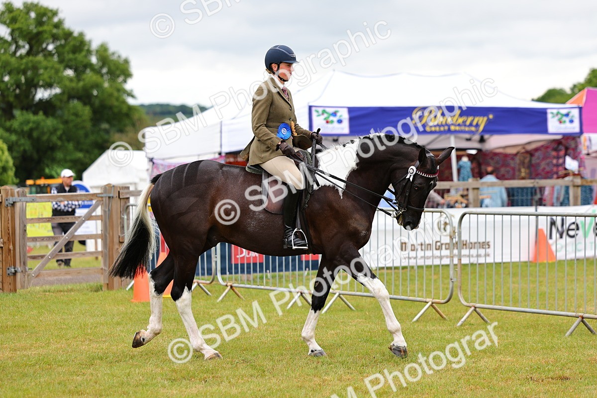 SBM_02581 - Class 9-11 Side Saddle including LIHS Rising Star Ladies Show Horse
