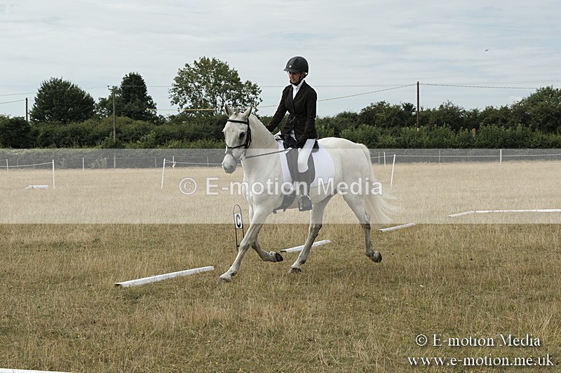_PJP5766 - Dressage Classes BVRC Show 2018