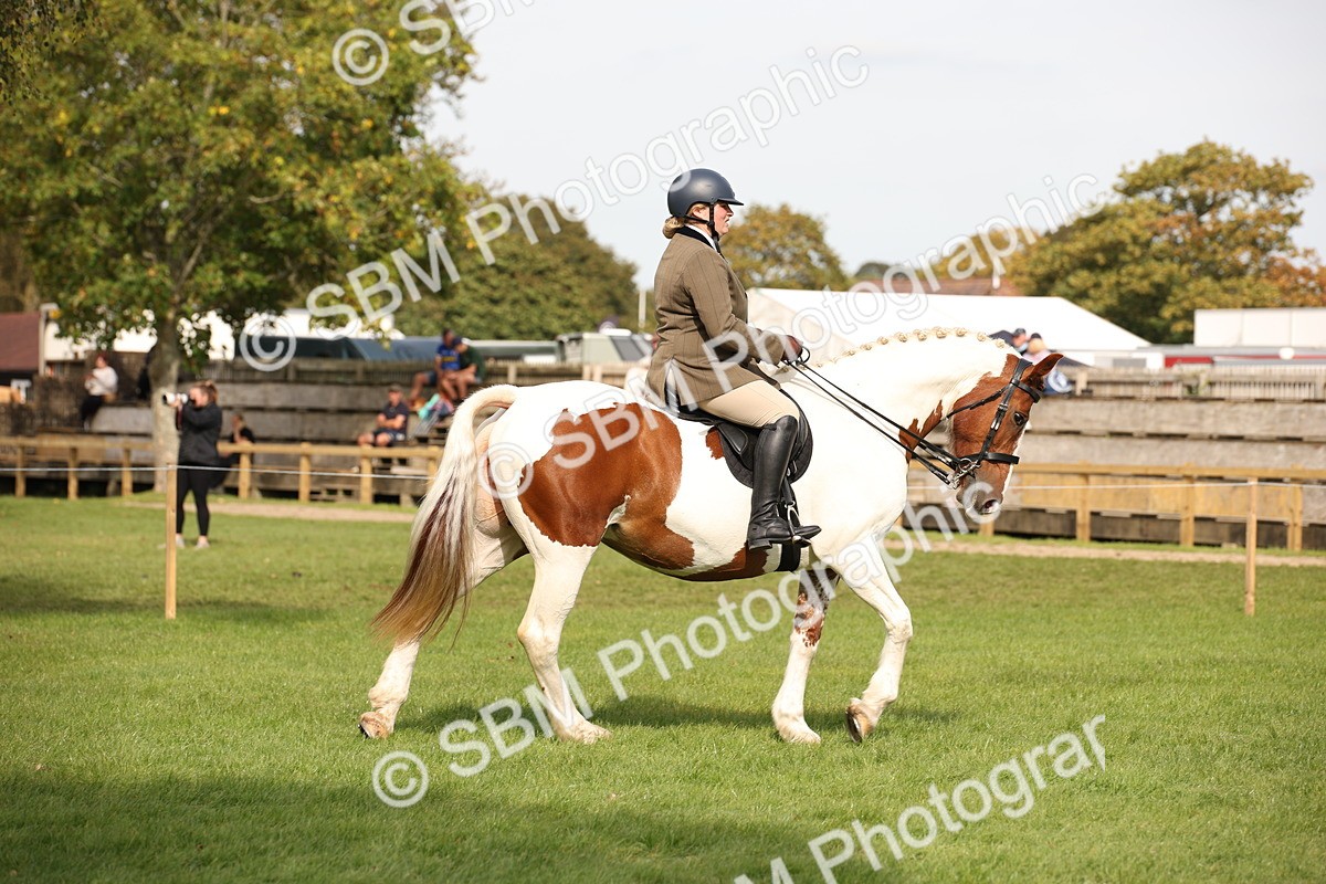 SBM_70350 - S66 - Hunter Ridden