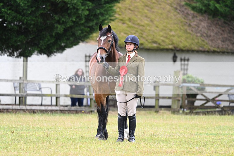 WJ7_6417 - Class 4a Prettiest Mare over 14hh