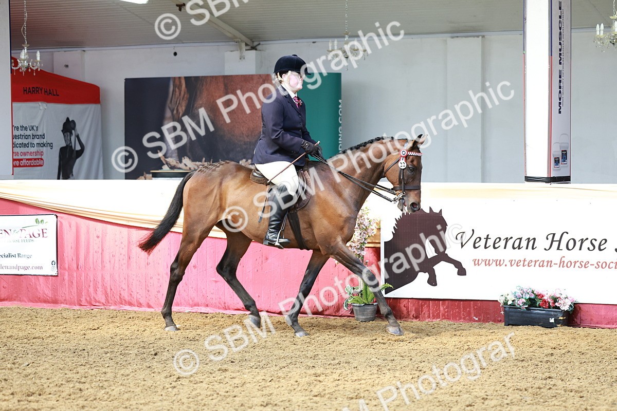 SBM_14886 - Class 108 - Ridden Retired Racehorse
