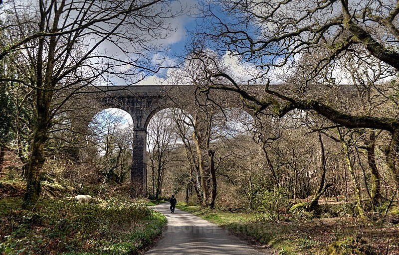 Treffy Viaduct - Cornwall Misc