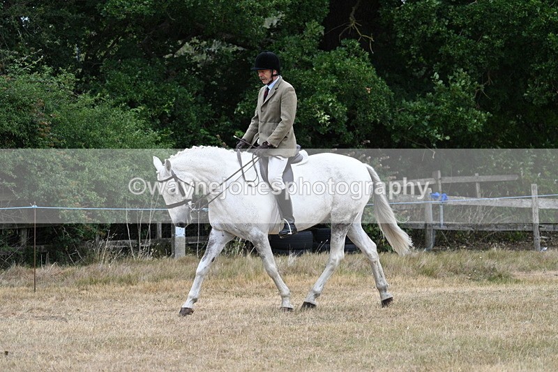 WJ7_0904 - Class 7 Riding Club Show Horse