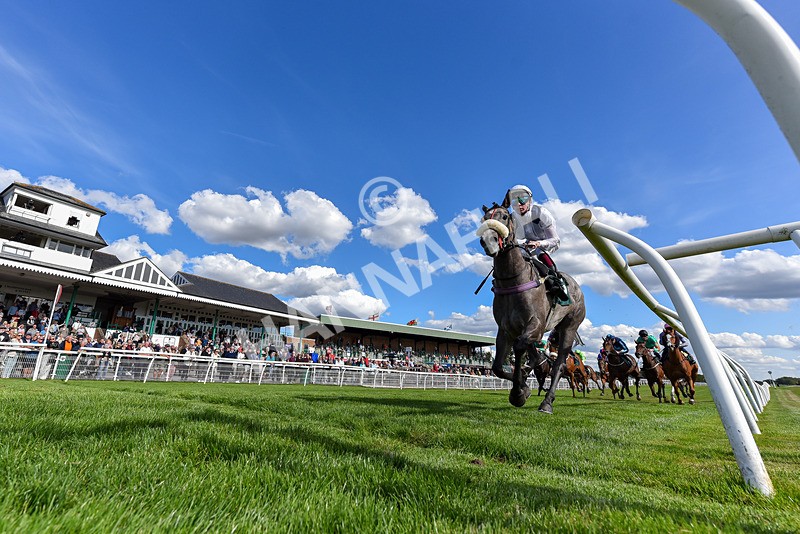 090925-Race 3-Maasai Mata-1612 - Race 3