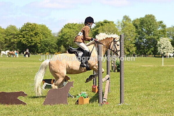 IMG_3657 - Working Hunter