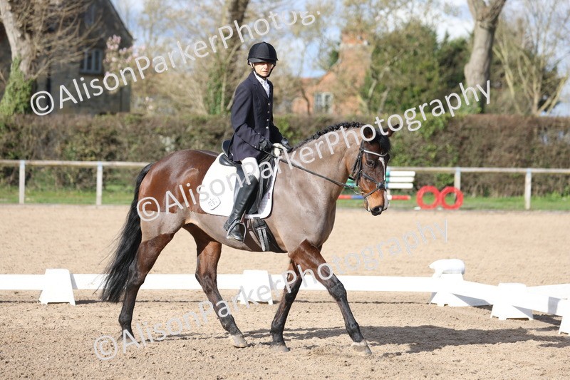 20260228-0847 - Class 6 - Novice 3