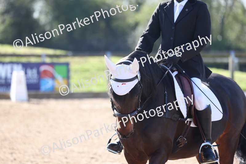 20260318-0151 - Class 2 - Intro 4