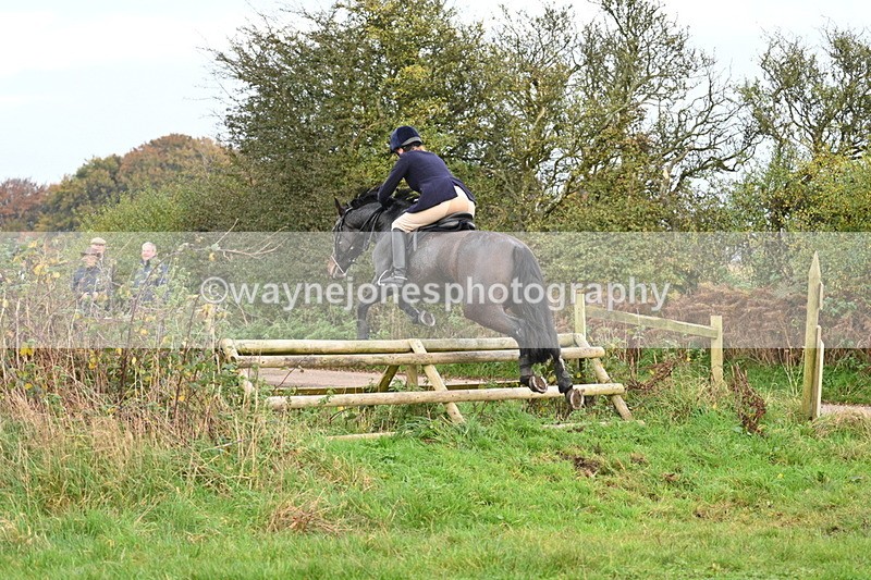 WJ7_0388 - Camera 1 & Last fence