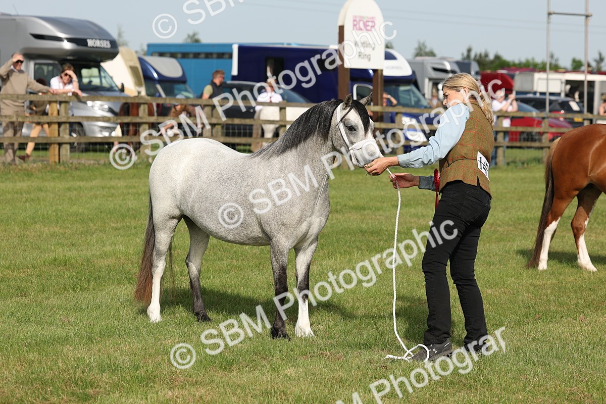 SBM_00647 - Class 6-13 - Mountatin and Moorland In Hand Welsh Breeds