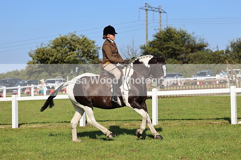 IMG_1376 - Class 28: Ridden Plaited Coloured Pony