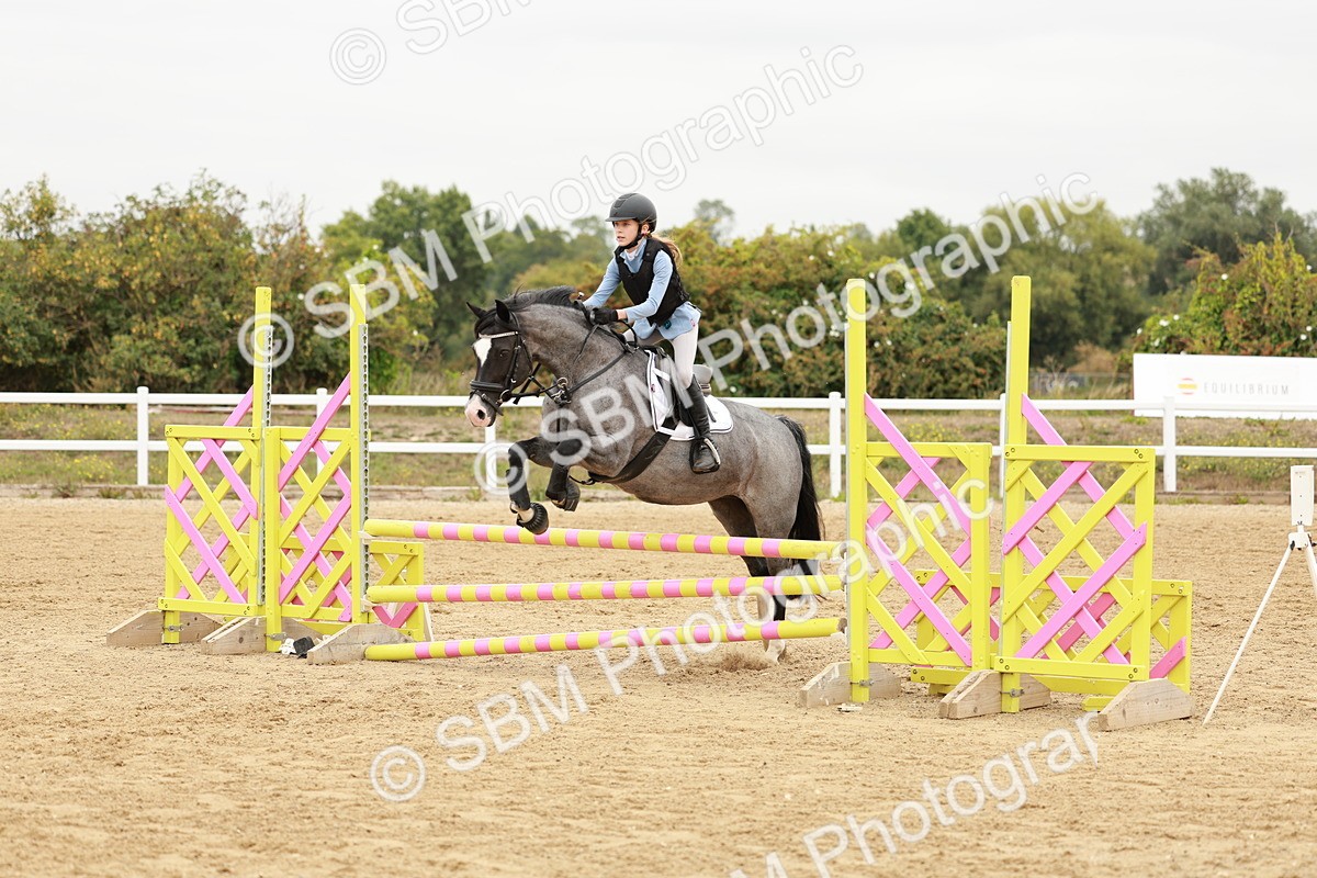 SBM_008290 - Class 5 - 80cm