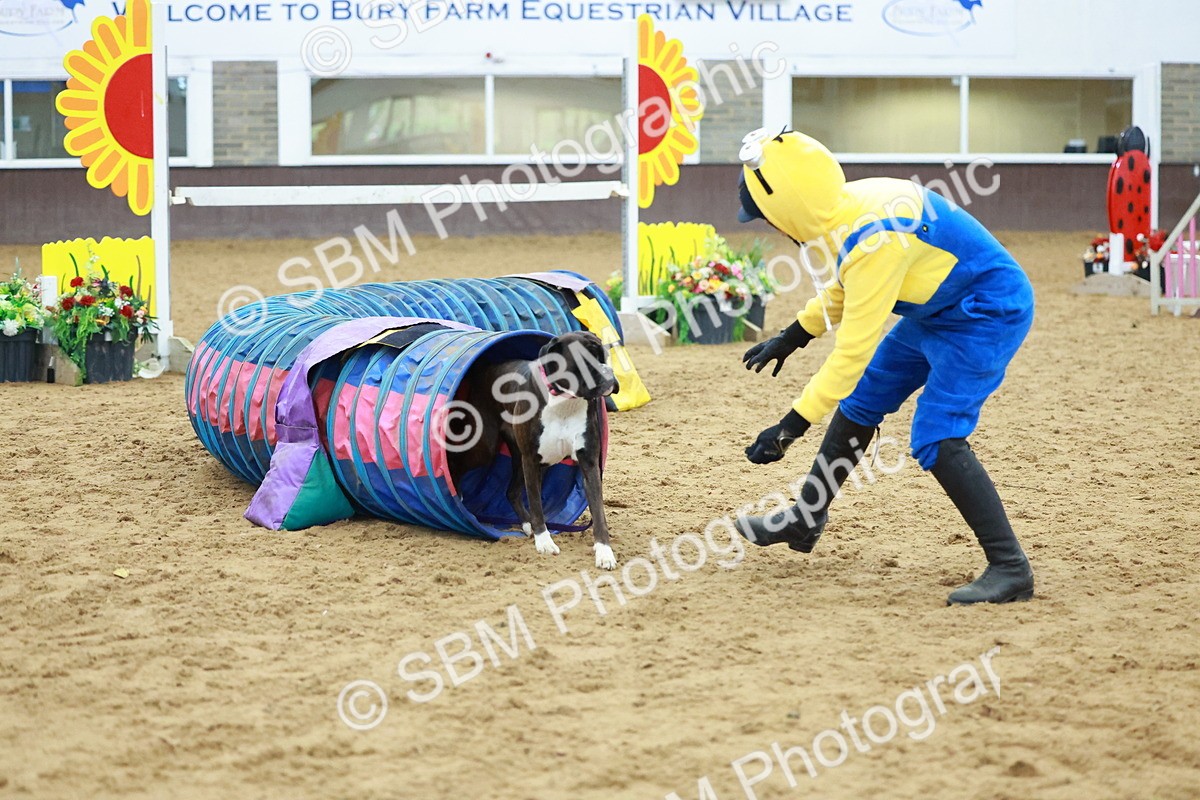 SBM_002244 - Class 3 - Horse & Hound (60cm)