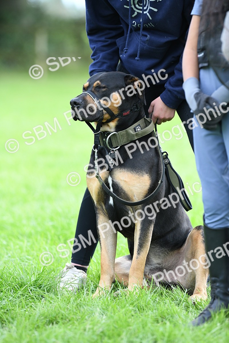 SBM_46828 - S12 - Family Horse & Pony