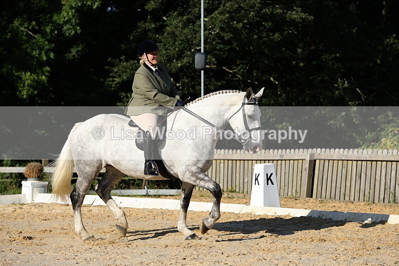1X9A7540 - Class 7: Novice Ridden Hunter/Hack/Cob/Riding Horse