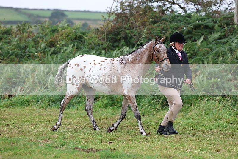 3E7A4068 - Class 15: Two Year Olds