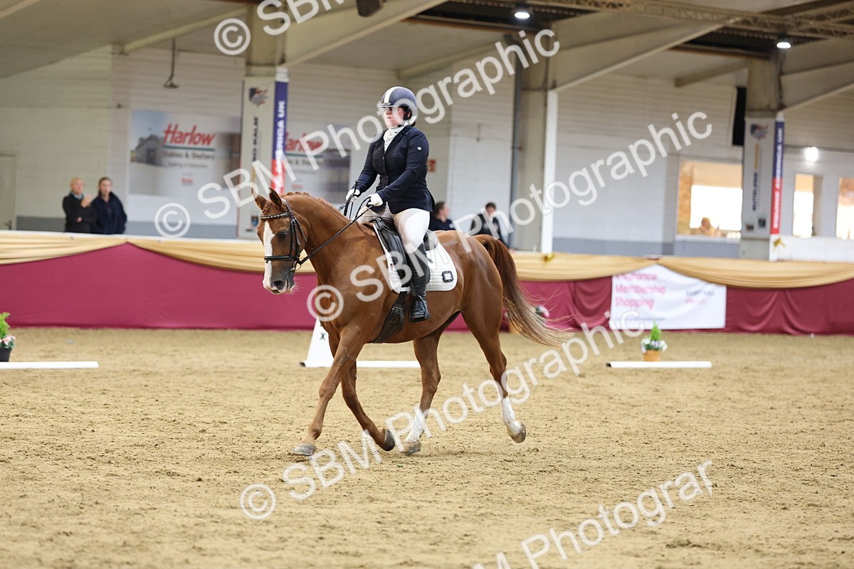 SBM_09507 - Class 51 - Dressage to music
