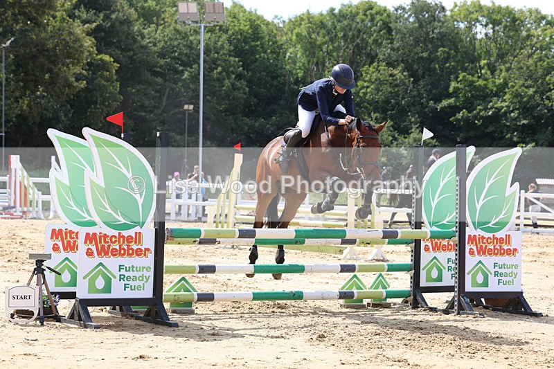3E7A3614 - Class 4: Senior British Novice/90cm open