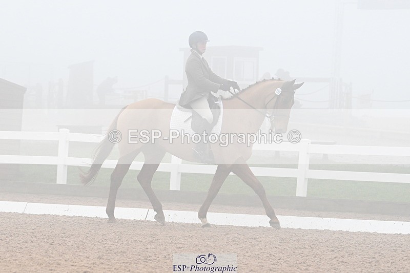 240217A-130227-02733 - 239-Sophie.Hawke-Dionysus