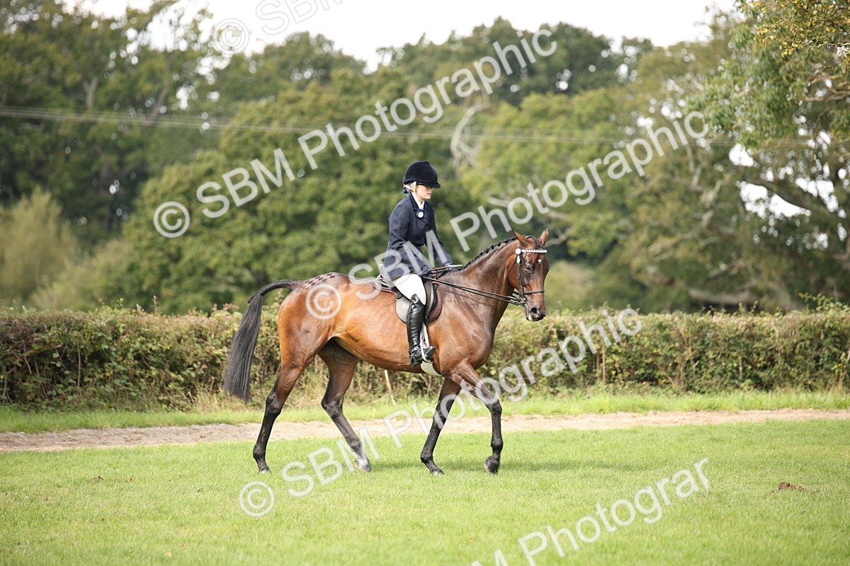 SBM_65903 - S64 - Riding Horse & Hack & Thoroughbred Ridden