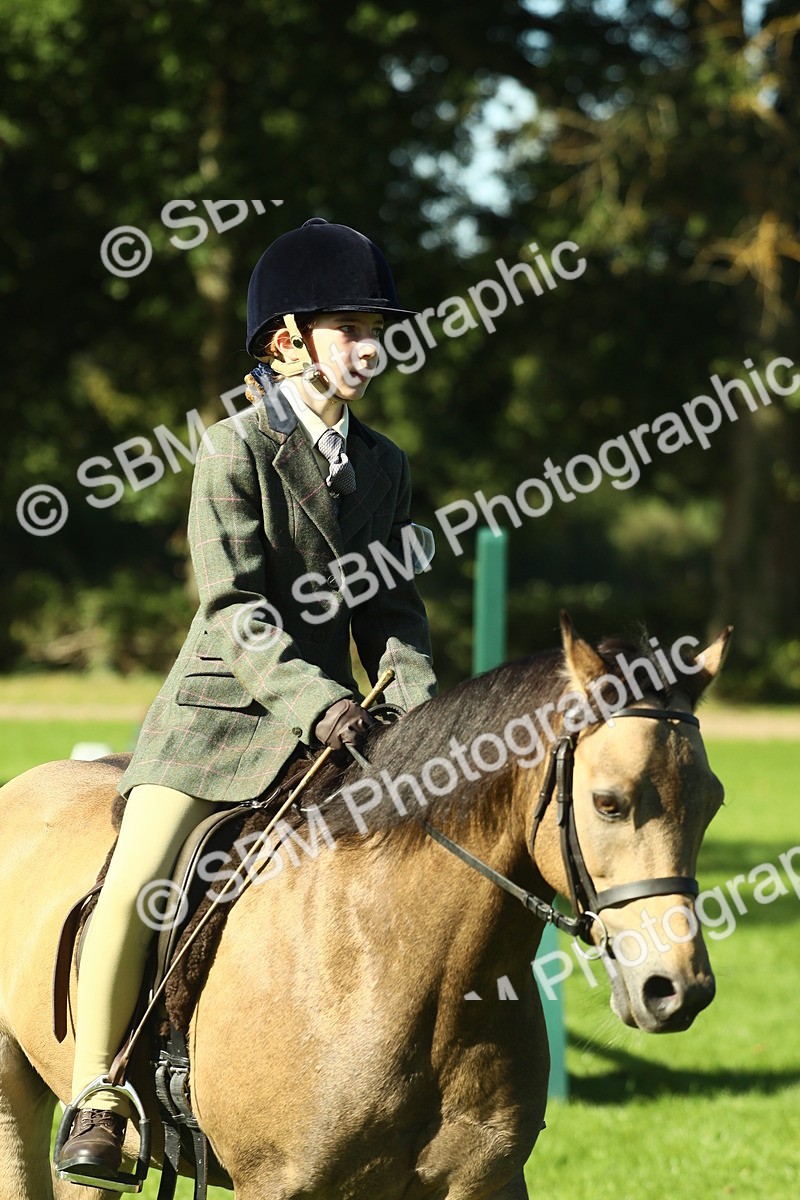SBM_36514 - S29 - Novice & Newcomers Working Hunter Pony