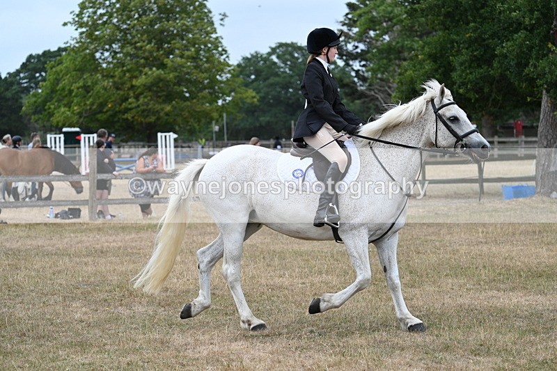 WJ7_1194 - Class 8 Ridden Veterans