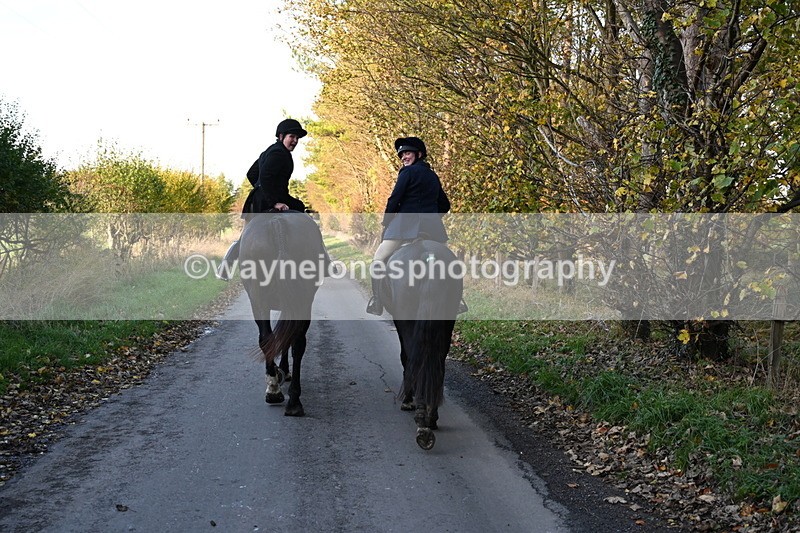 WJ6_9851 - Walk Home