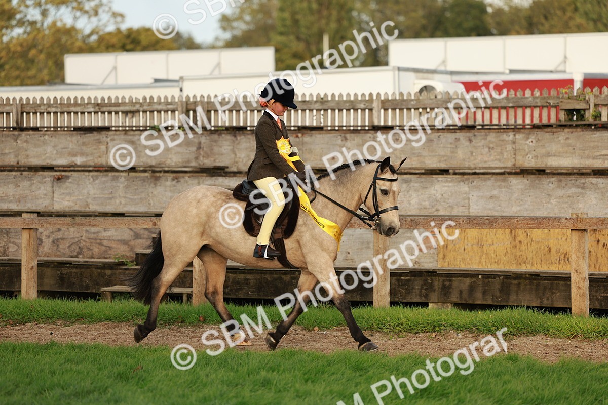 SBM_28924 - S7 - Novice & Newcomer Ridden Pony